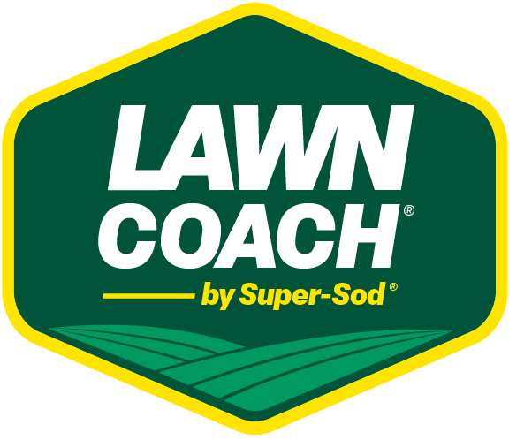 Essential Lawn Coach for Bermuda, Centipede, Zoysia, Tall Fescue - Image 6