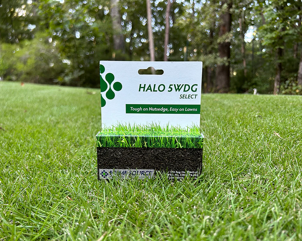 Nutsedge Herbicide Weed Control