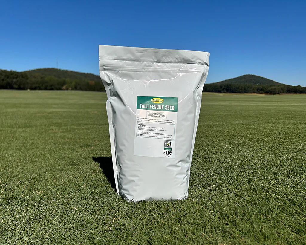 New Lawn Prep - Sod & Seed
