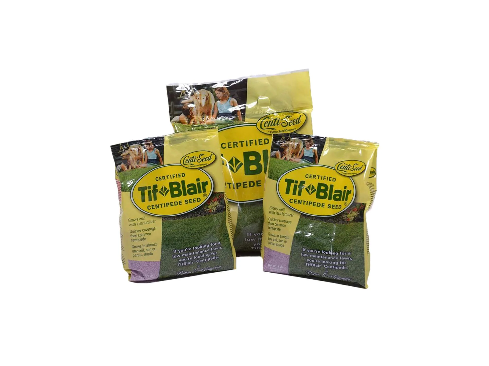 TifBlair Centipede Grass Seed - Image 4