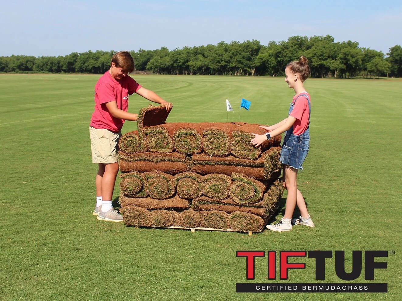 TifTuf Bermuda Sod - Image 3