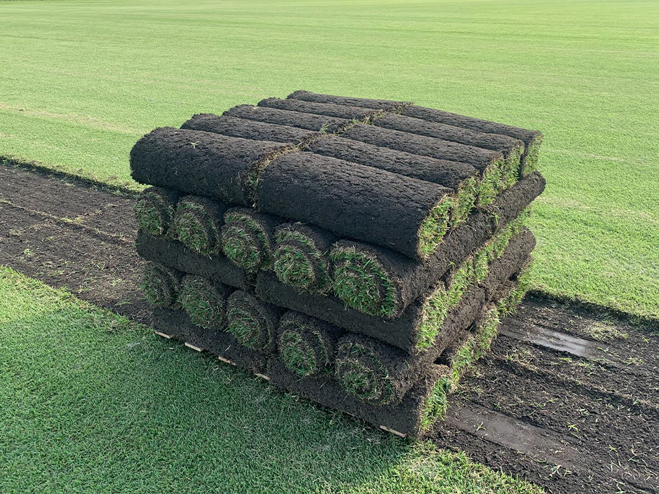 Zenith Zoysia Sod - Image 5